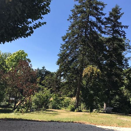 Charmant F1 Avec Terrasse Et Vue Sur Jardin Arbore - Fraicheur Naturelle Du Rez De Jardin - Parking Белерив-сюр-Алие Екстериор снимка